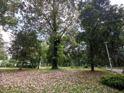 panshan-grove photo thumbnail #2